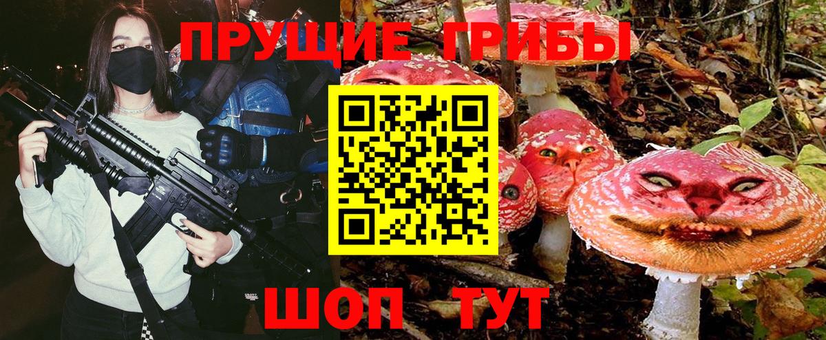 Гусиноозёрск  Галлюциногенные грибы мухоморы  Вход с VPN 
