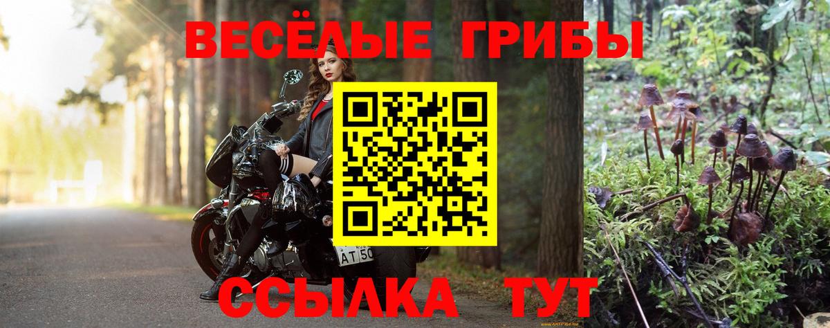 Галлюциногенные грибы GOLDEN TEACHER Гусиноозёрск